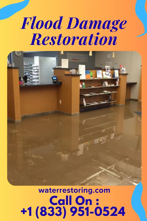 Flood Damage Restoration in Vero Lake Estates, FL