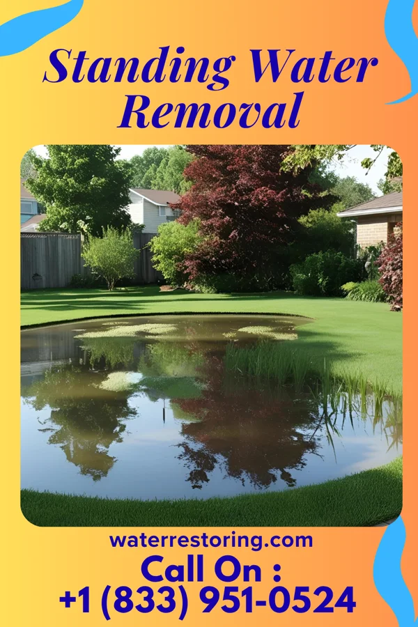 Standing Water Removal in Vero Lake Estates, FL